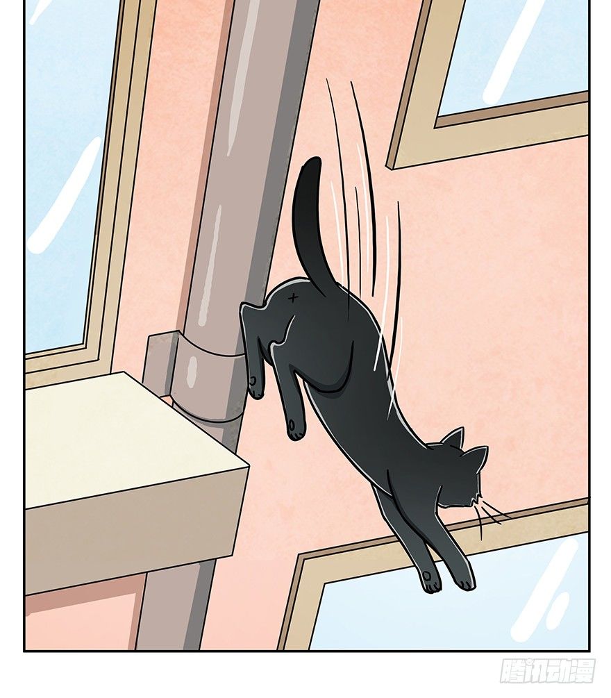 第61爪 &ldquo;虐猫&rdquo;照骗（上）-第67话