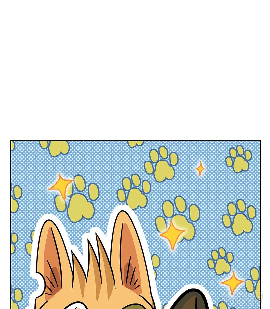 第61爪 &ldquo;虐猫&rdquo;照骗（上）-第67话