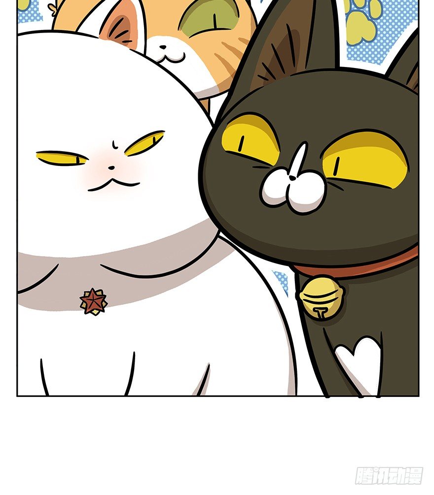 第61爪 &ldquo;虐猫&rdquo;照骗（上）-第67话