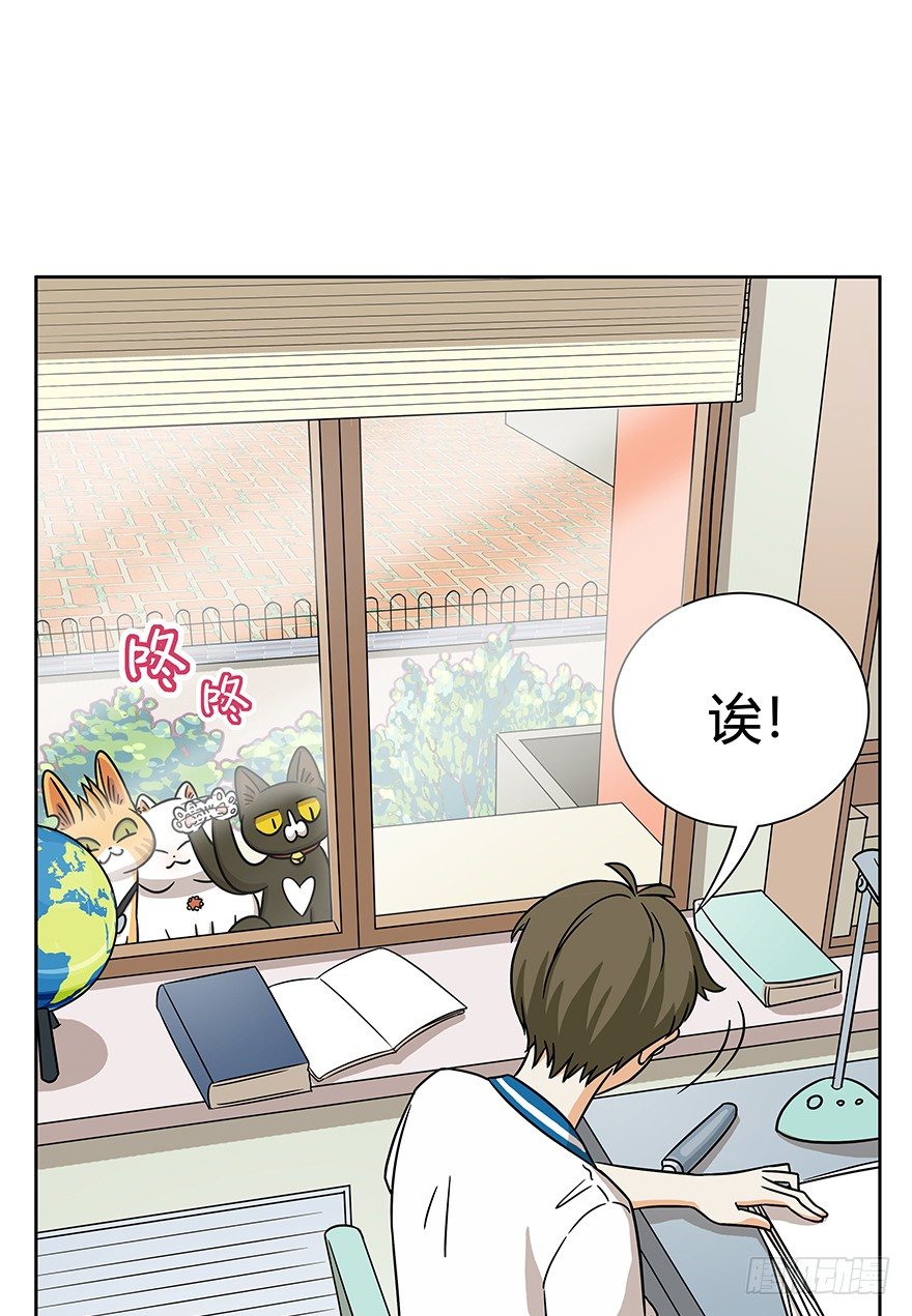 第61爪 &ldquo;虐猫&rdquo;照骗（上）-第67话