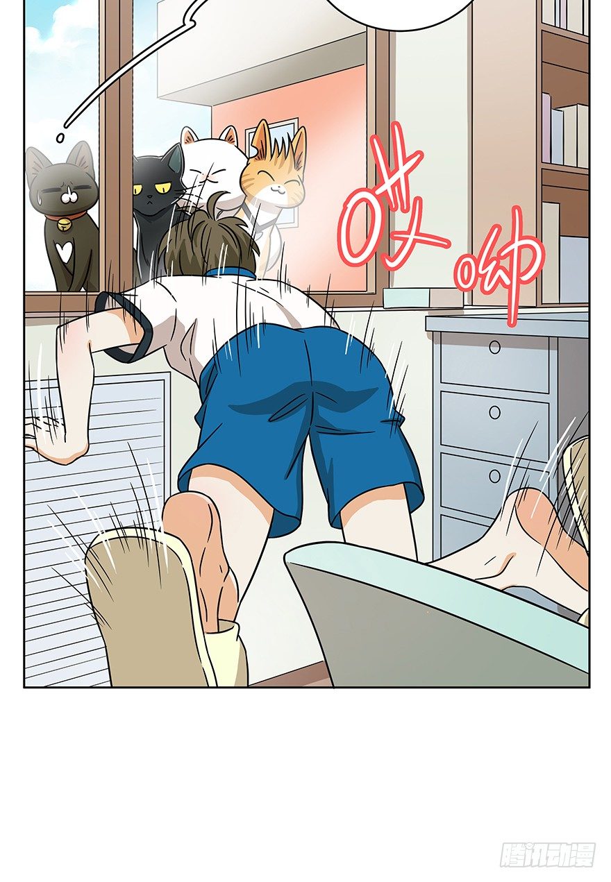 第61爪 &ldquo;虐猫&rdquo;照骗（上）-第67话