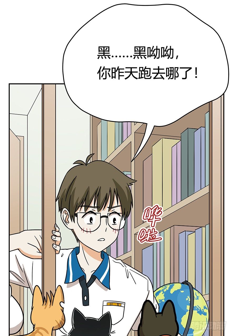 第61爪 &ldquo;虐猫&rdquo;照骗（上）-第67话