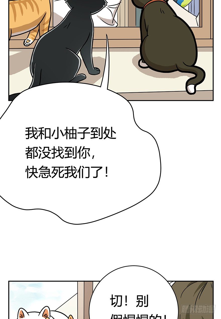 第61爪 &ldquo;虐猫&rdquo;照骗（上）-第67话