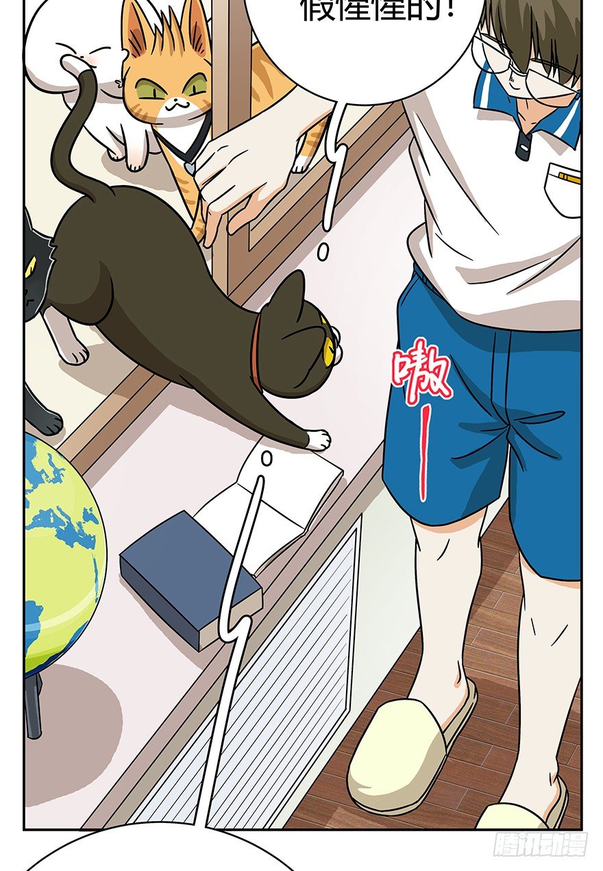 第61爪 &ldquo;虐猫&rdquo;照骗（上）-第67话
