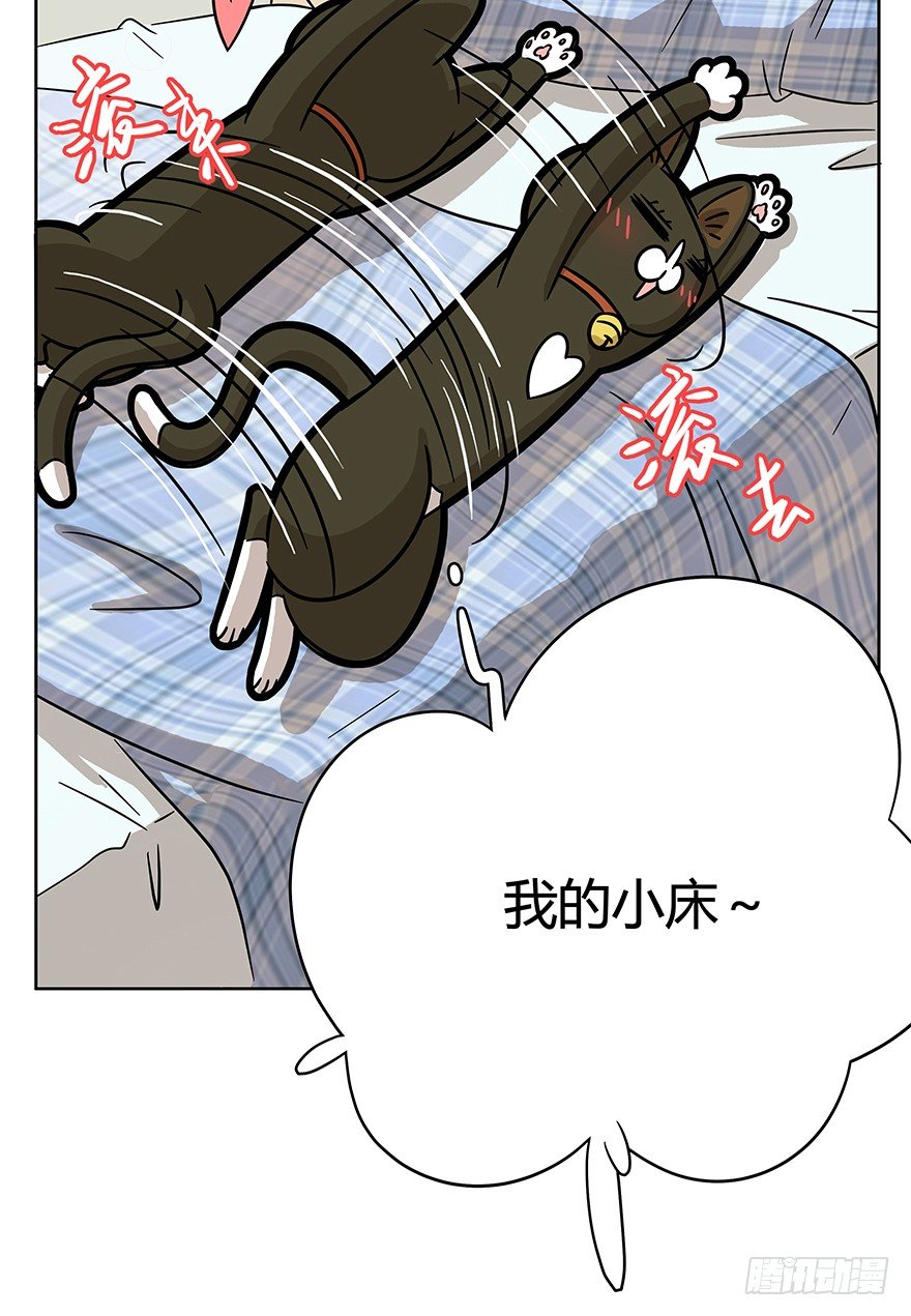 第61爪 &ldquo;虐猫&rdquo;照骗（上）-第67话