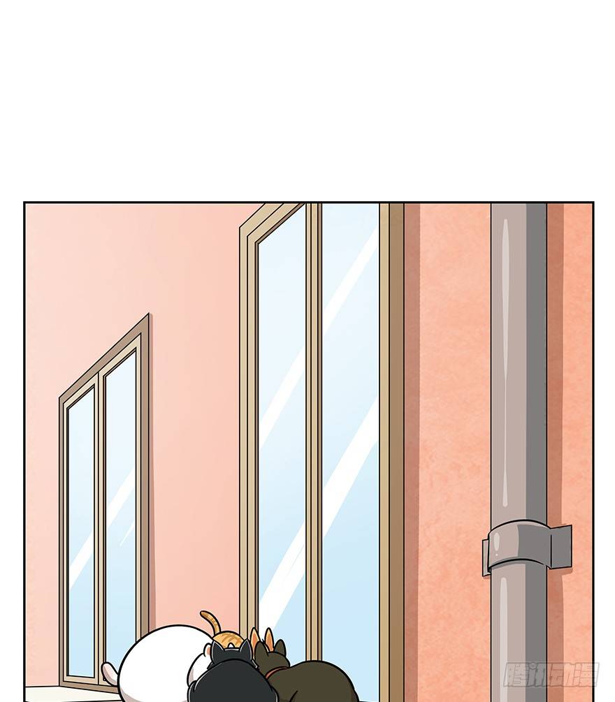 第61爪 &ldquo;虐猫&rdquo;照骗（上）-第67话
