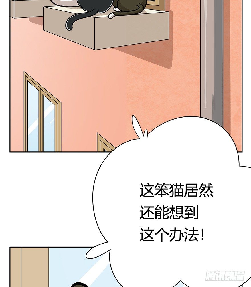 第61爪 &ldquo;虐猫&rdquo;照骗（上）-第67话
