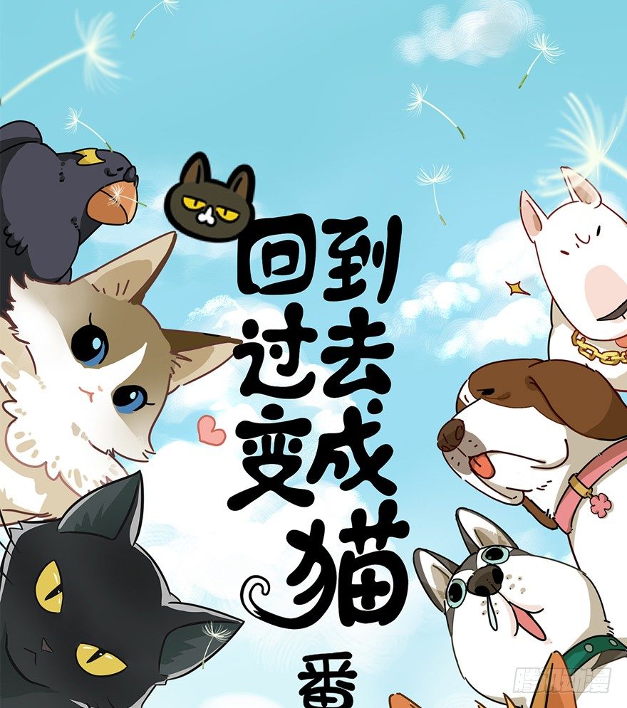 第63爪 众猫拾材火焰高(1/2)-第69话