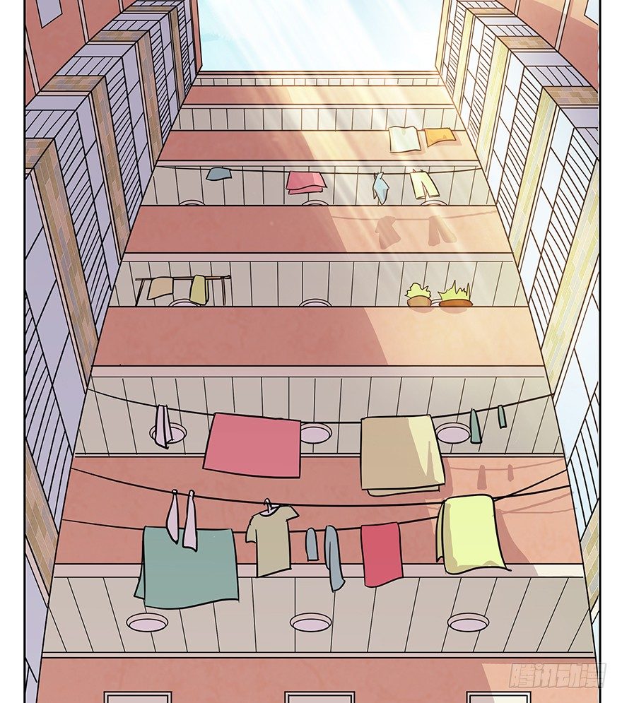 第63爪 众猫拾材火焰高(1/2)-第69话