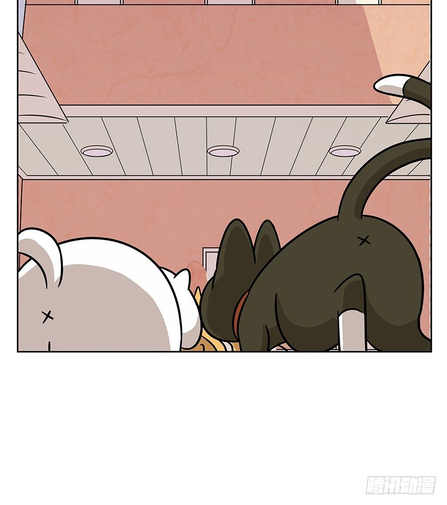 第63爪 众猫拾材火焰高(1/2)-第69话