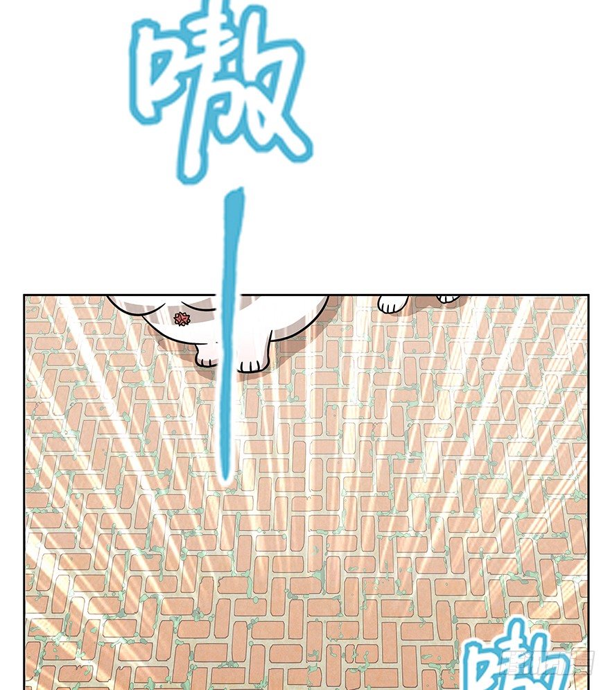 第63爪 众猫拾材火焰高(1/2)-第69话