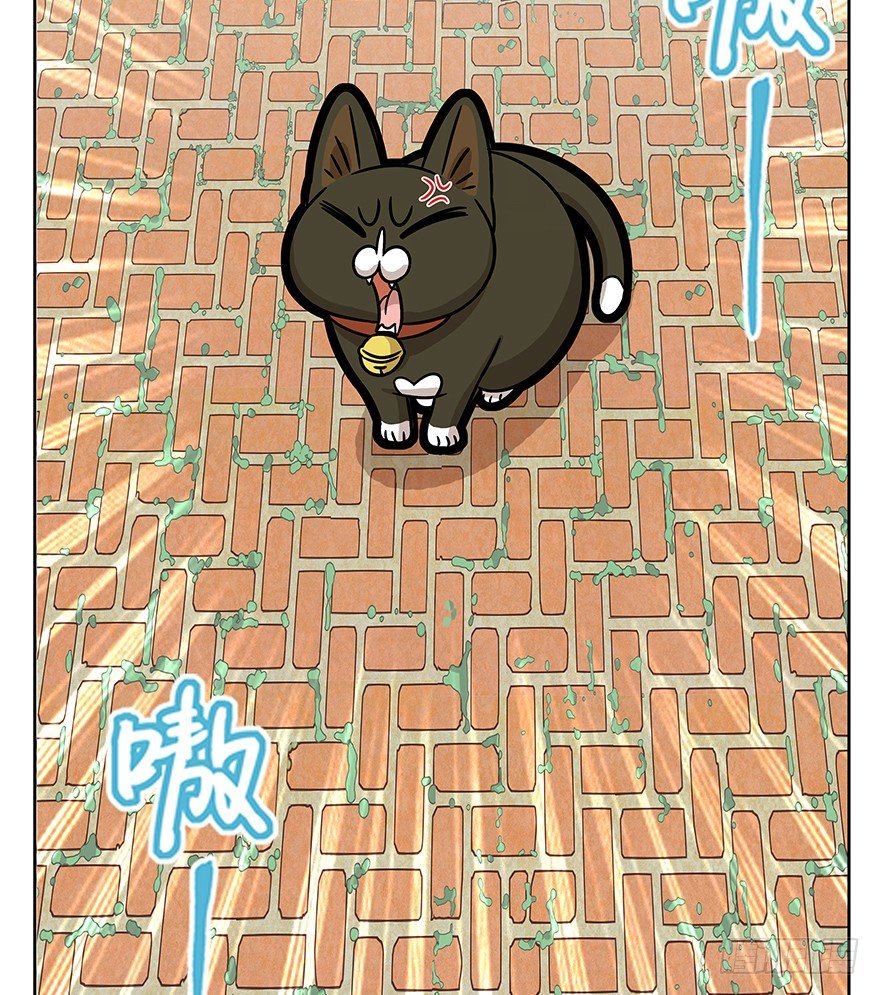 第63爪 众猫拾材火焰高(1/2)-第69话