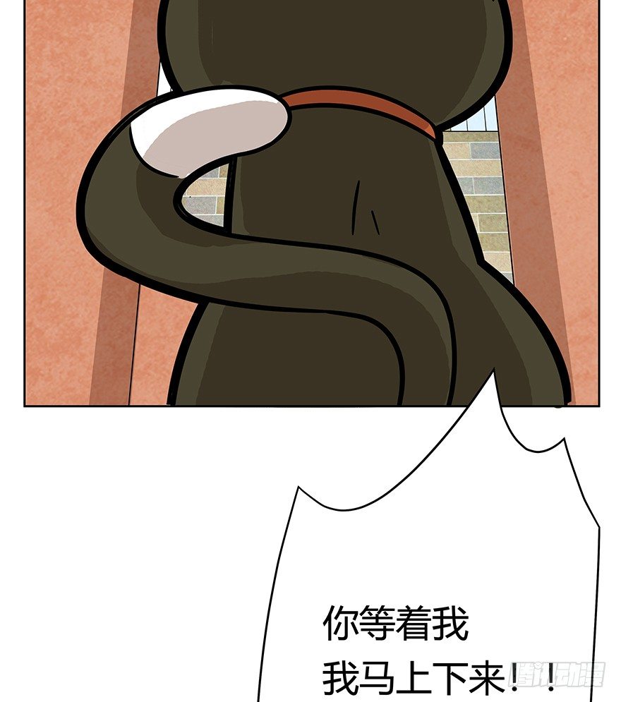 第63爪 众猫拾材火焰高(1/2)-第69话
