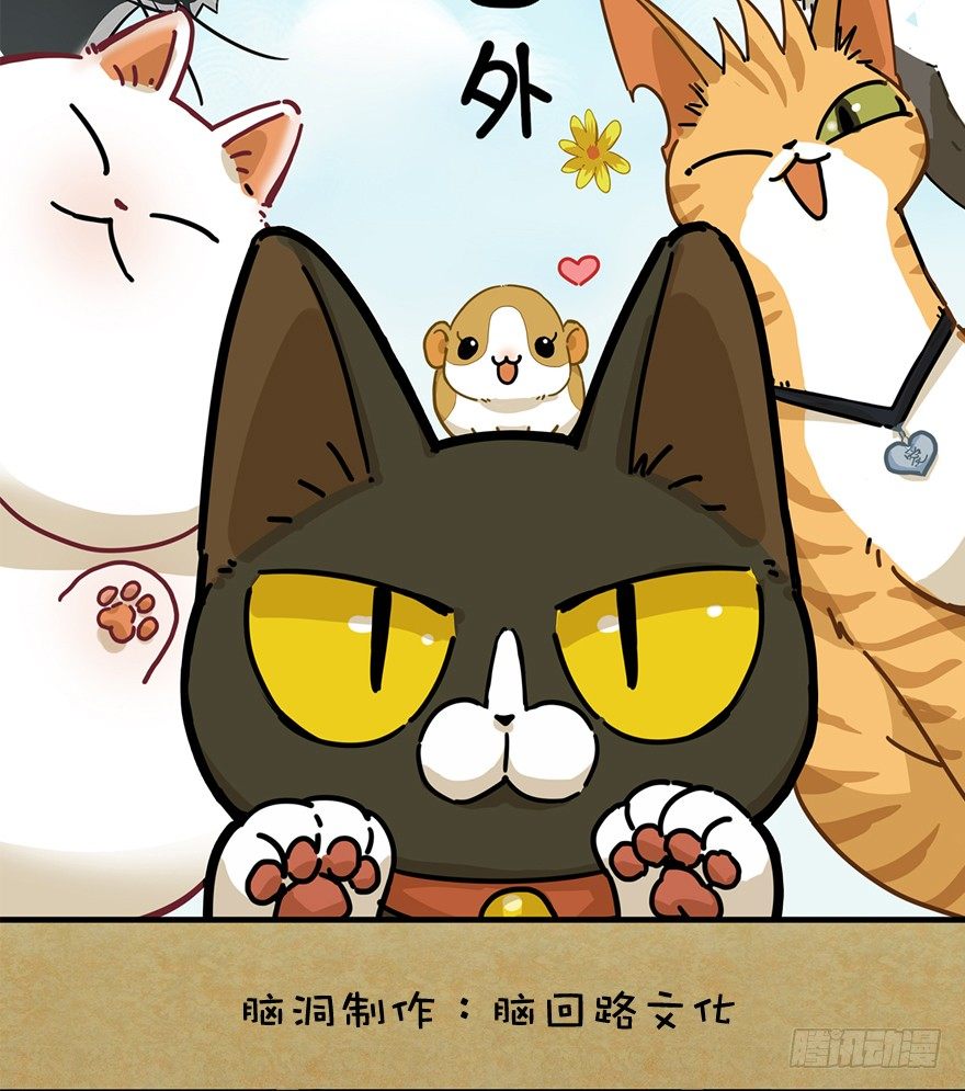 第63爪 众猫拾材火焰高(1/2)-第69话
