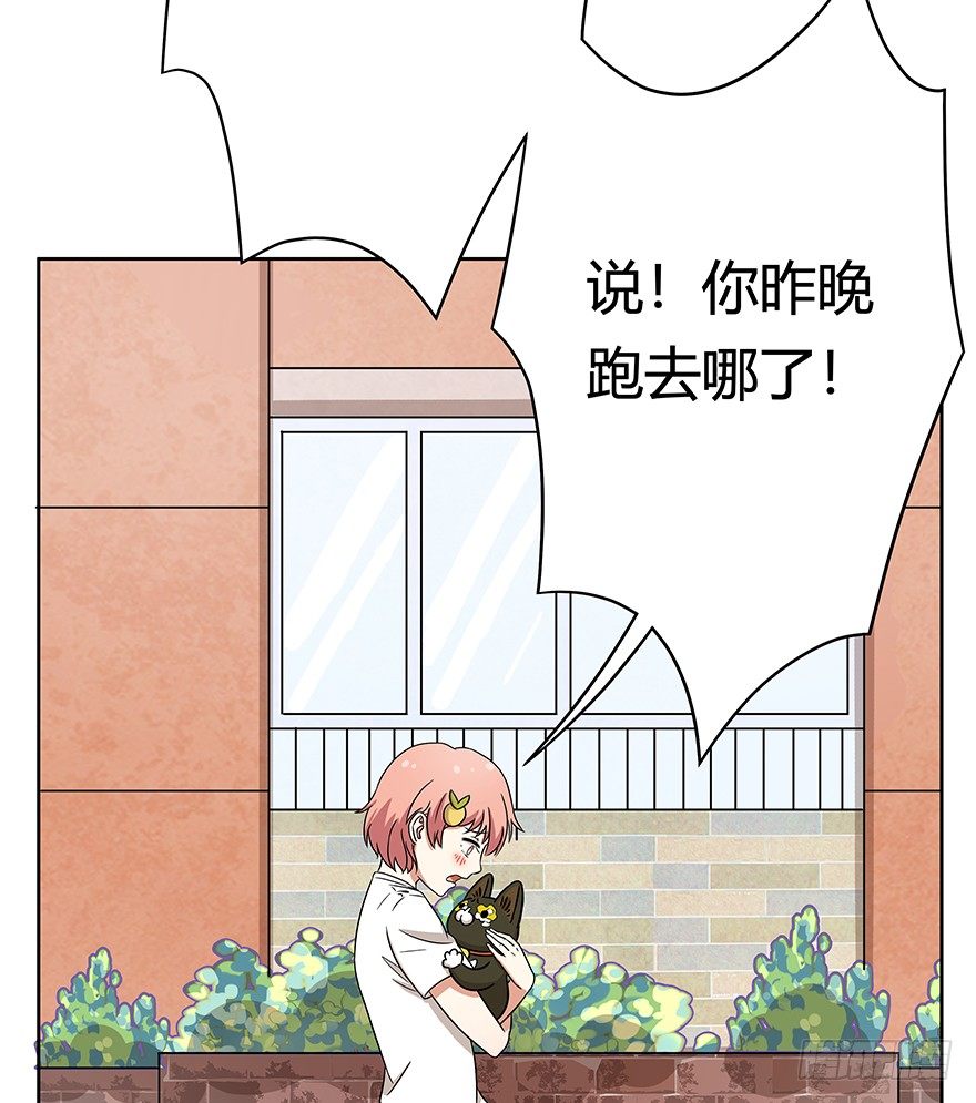 第63爪 众猫拾材火焰高(1/2)-第69话