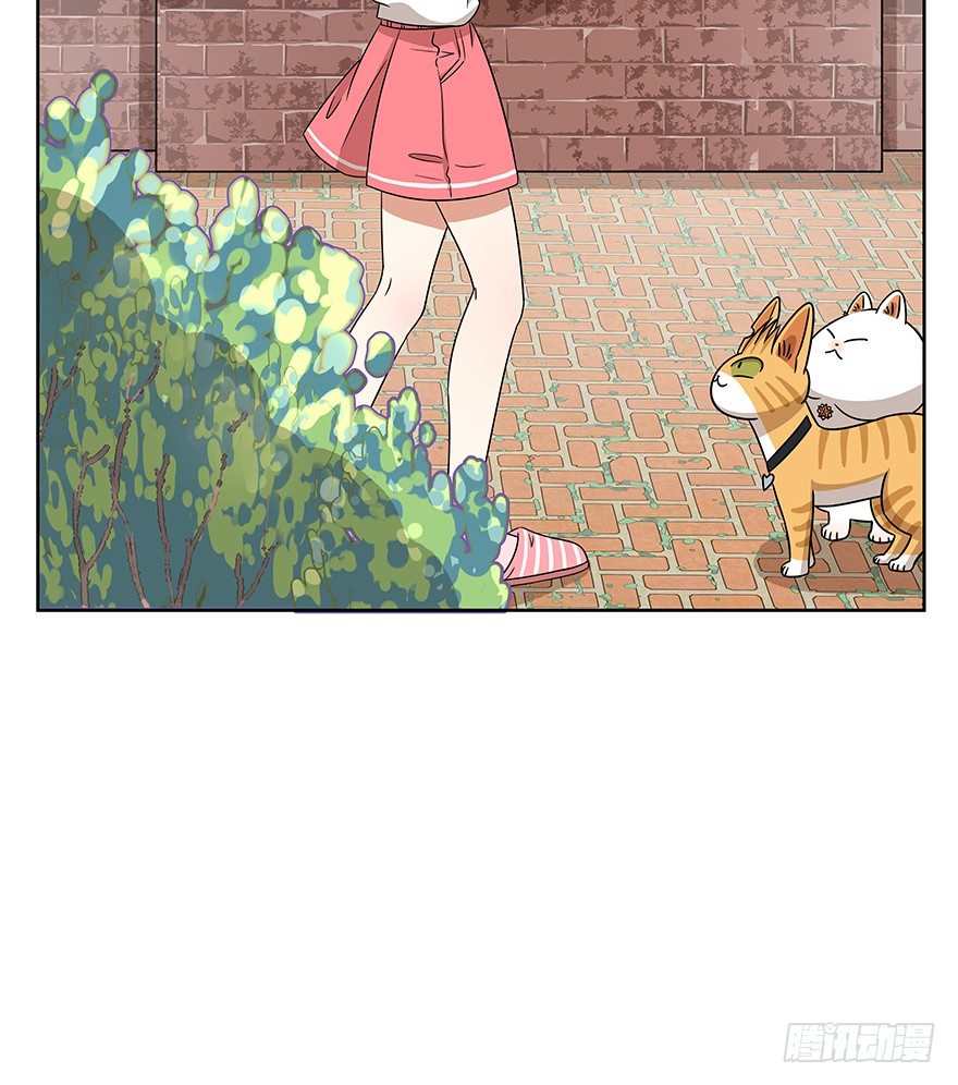 第63爪 众猫拾材火焰高(1/2)-第69话