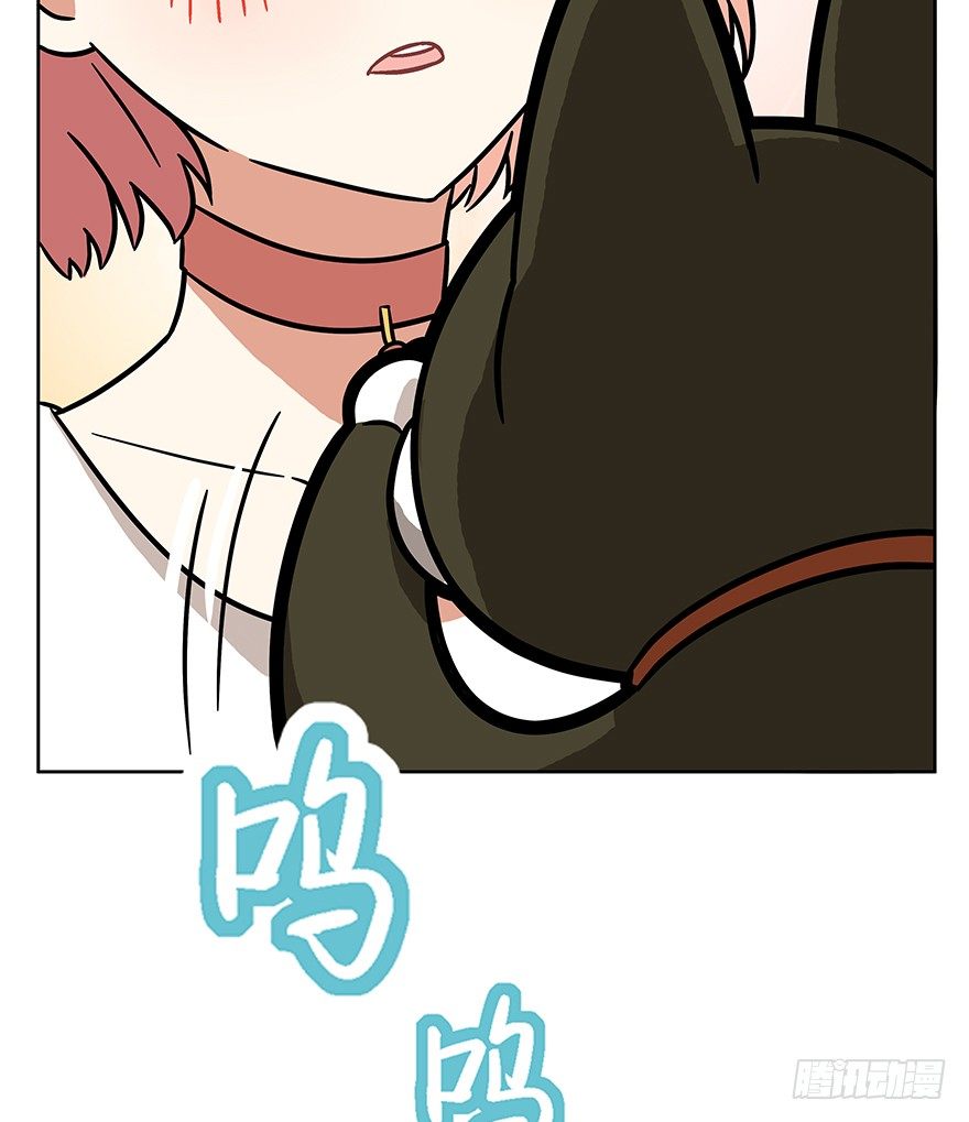 第63爪 众猫拾材火焰高(1/2)-第69话