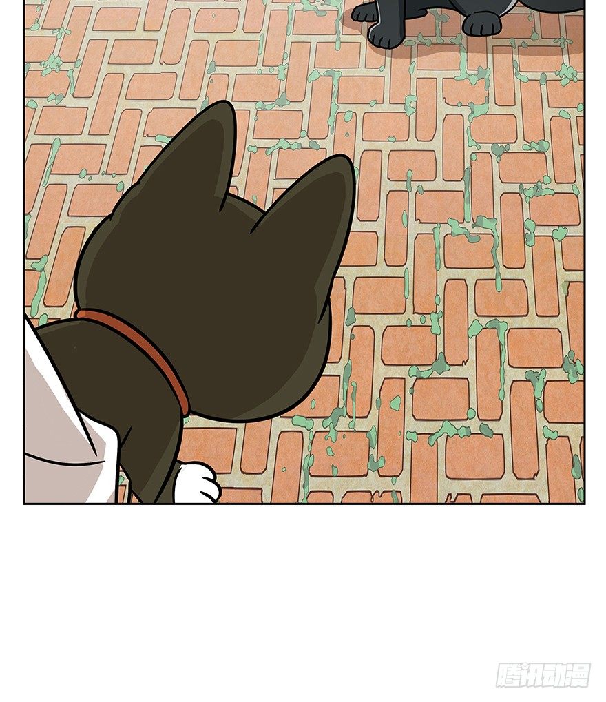 第63爪 众猫拾材火焰高(1/2)-第69话