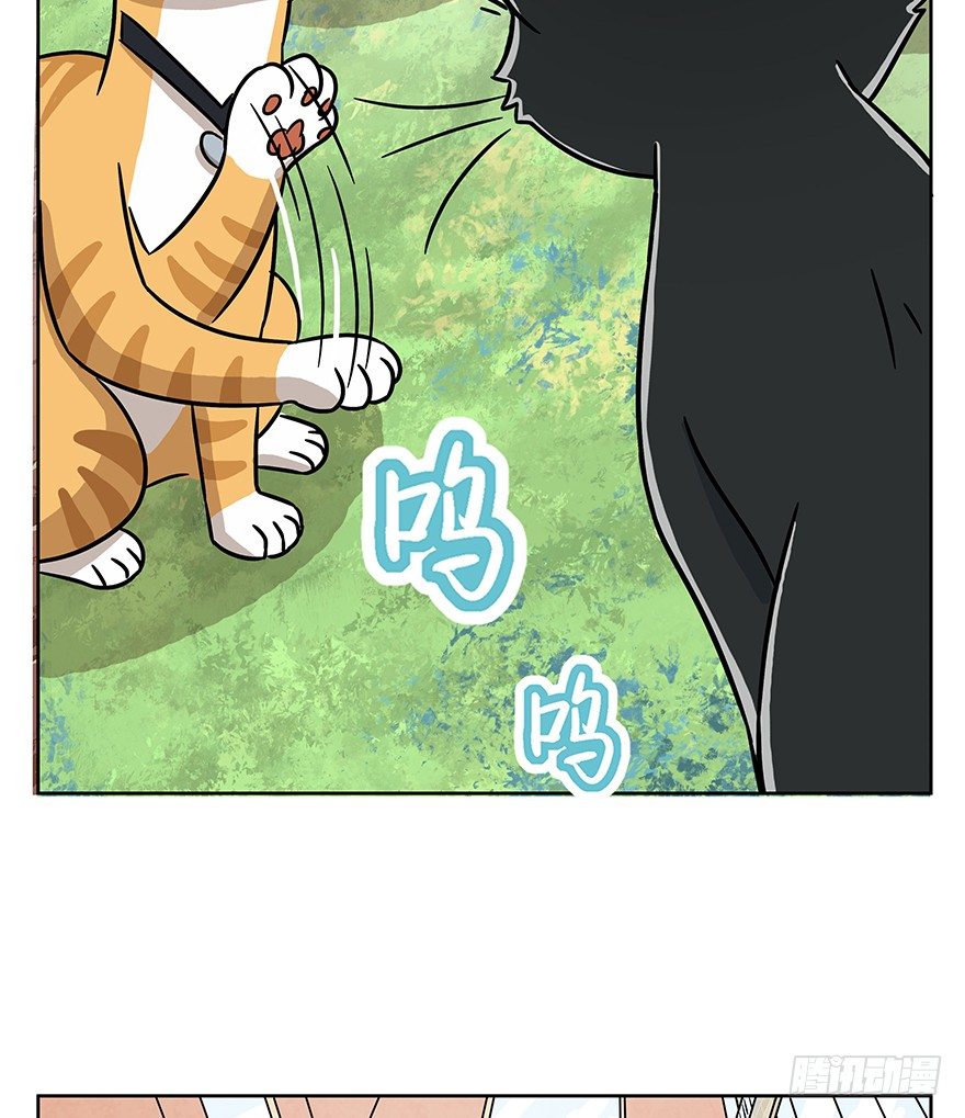 第63爪 众猫拾材火焰高(1/2)-第69话