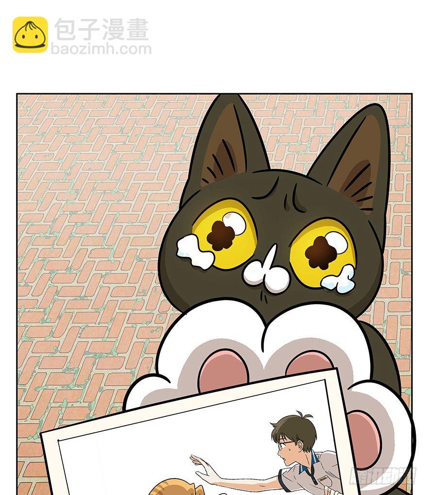 第63爪 众猫拾材火焰高(1/2)-第69话