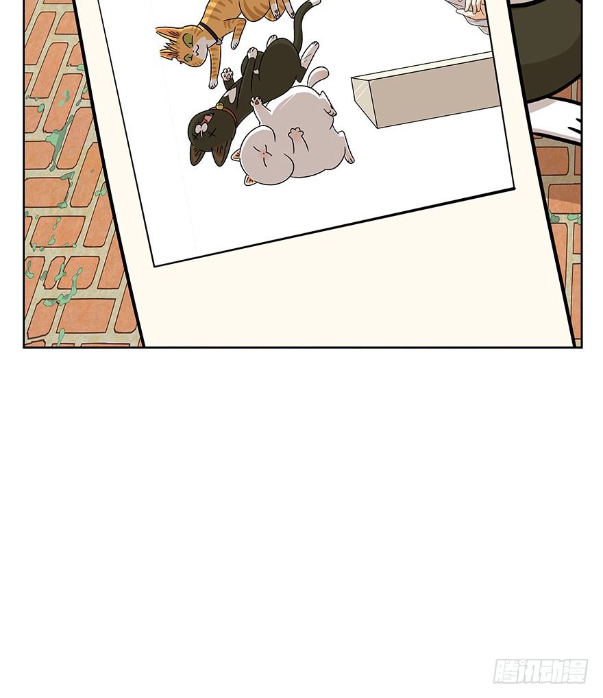 第63爪 众猫拾材火焰高(1/2)-第69话