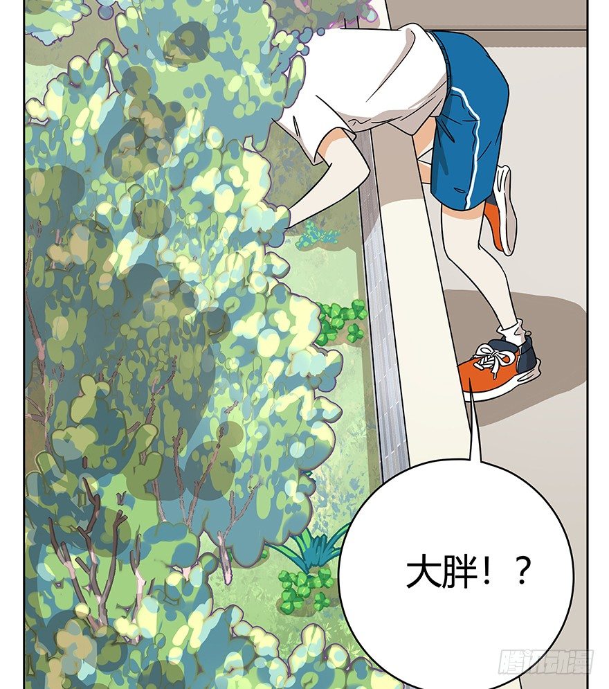 第63爪 众猫拾材火焰高(1/2)-第69话
