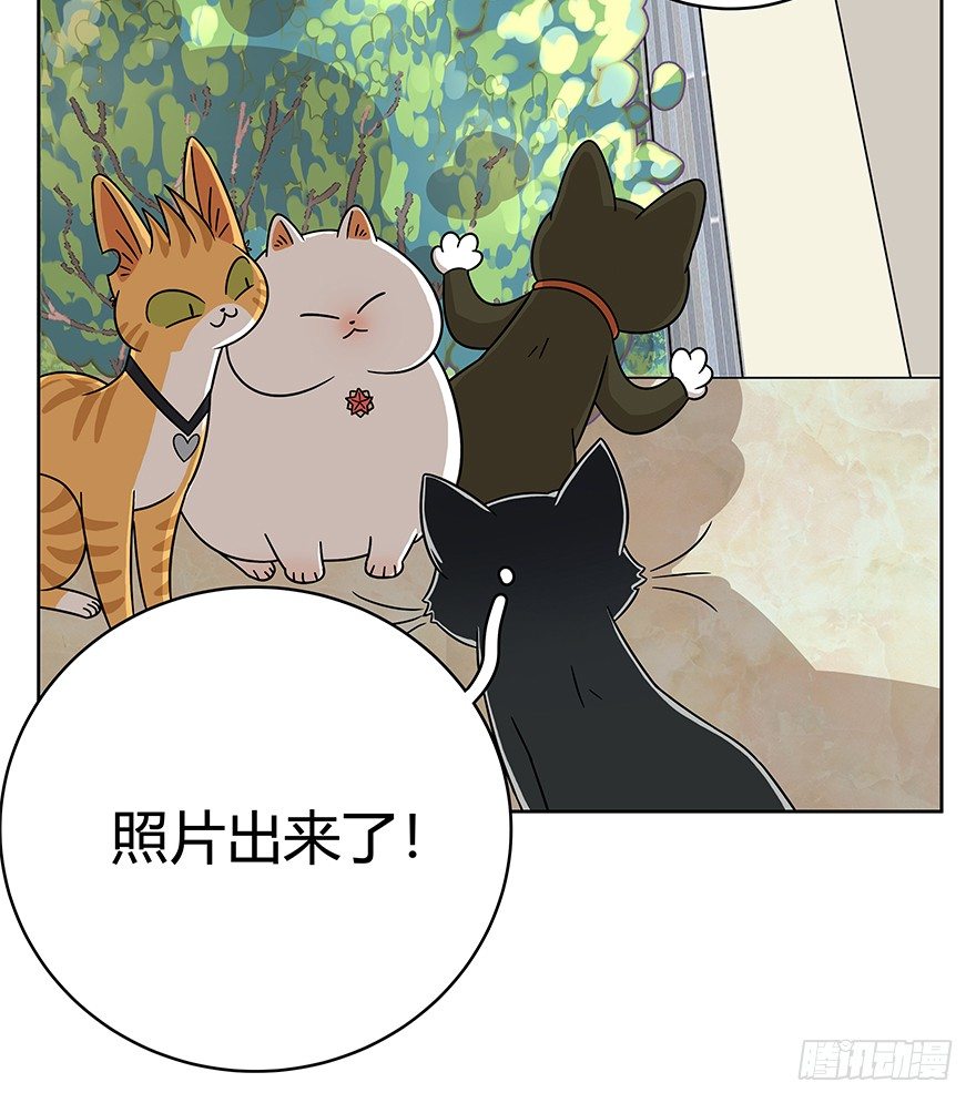第63爪 众猫拾材火焰高(1/2)-第69话