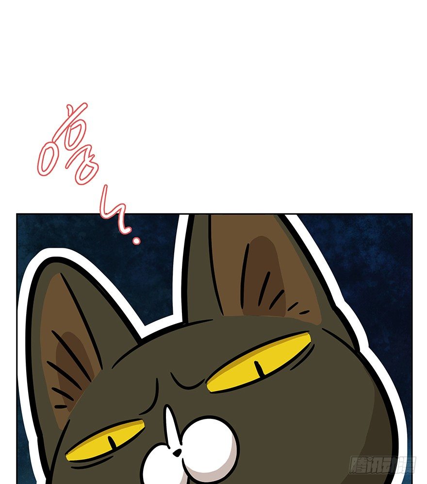 第63爪 众猫拾材火焰高(1/2)-第69话