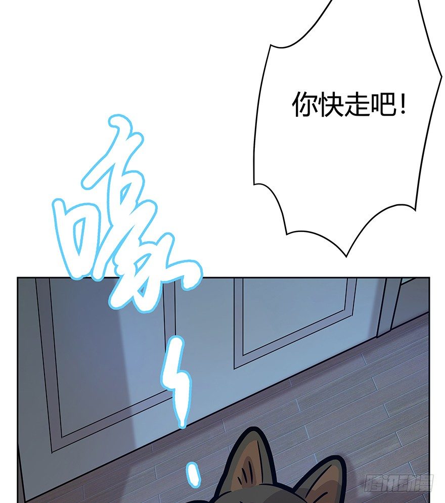 第65爪 真的胜利了吗？（下）-第71话