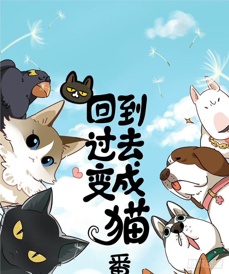 第71爪 &ldquo;小天使&rdquo;焦爸（下）-第77话