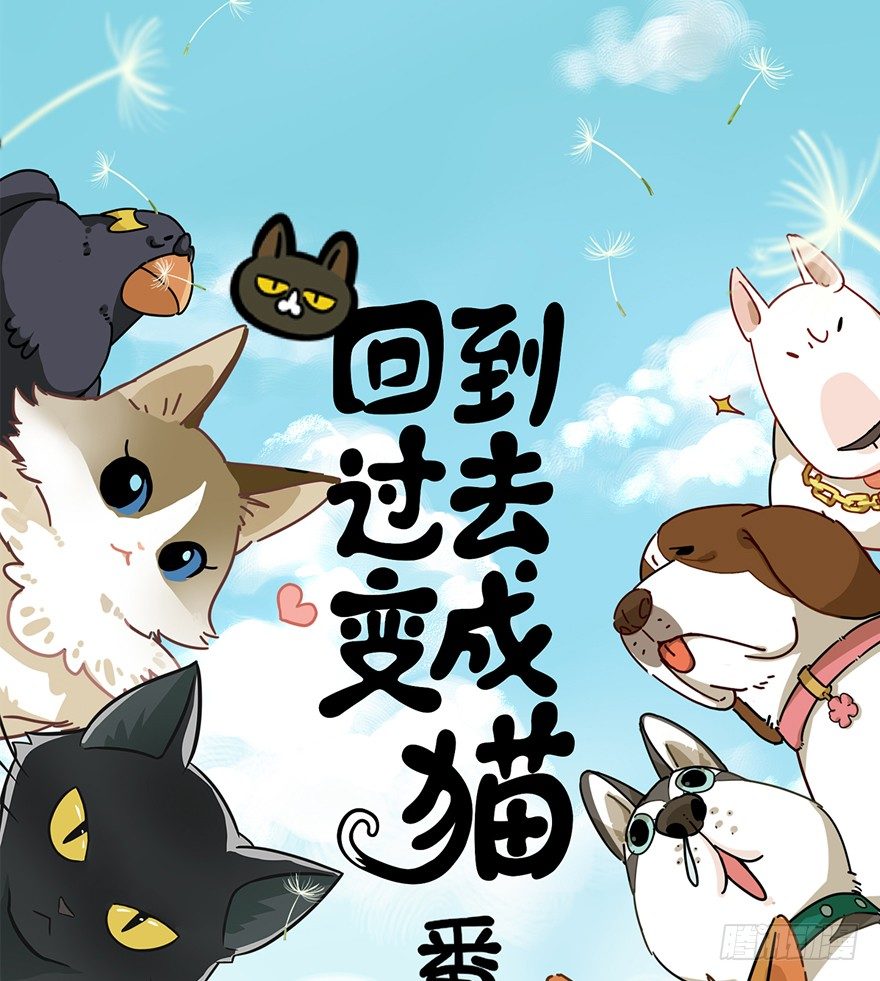 第77爪 熟悉的身影（上）-第83话