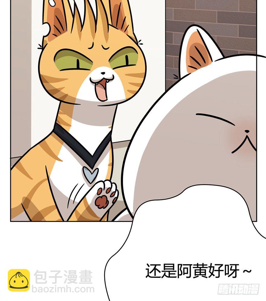 第81爪 &ldquo;拖油瓶&rdquo;黑呦呦（下）-第87话