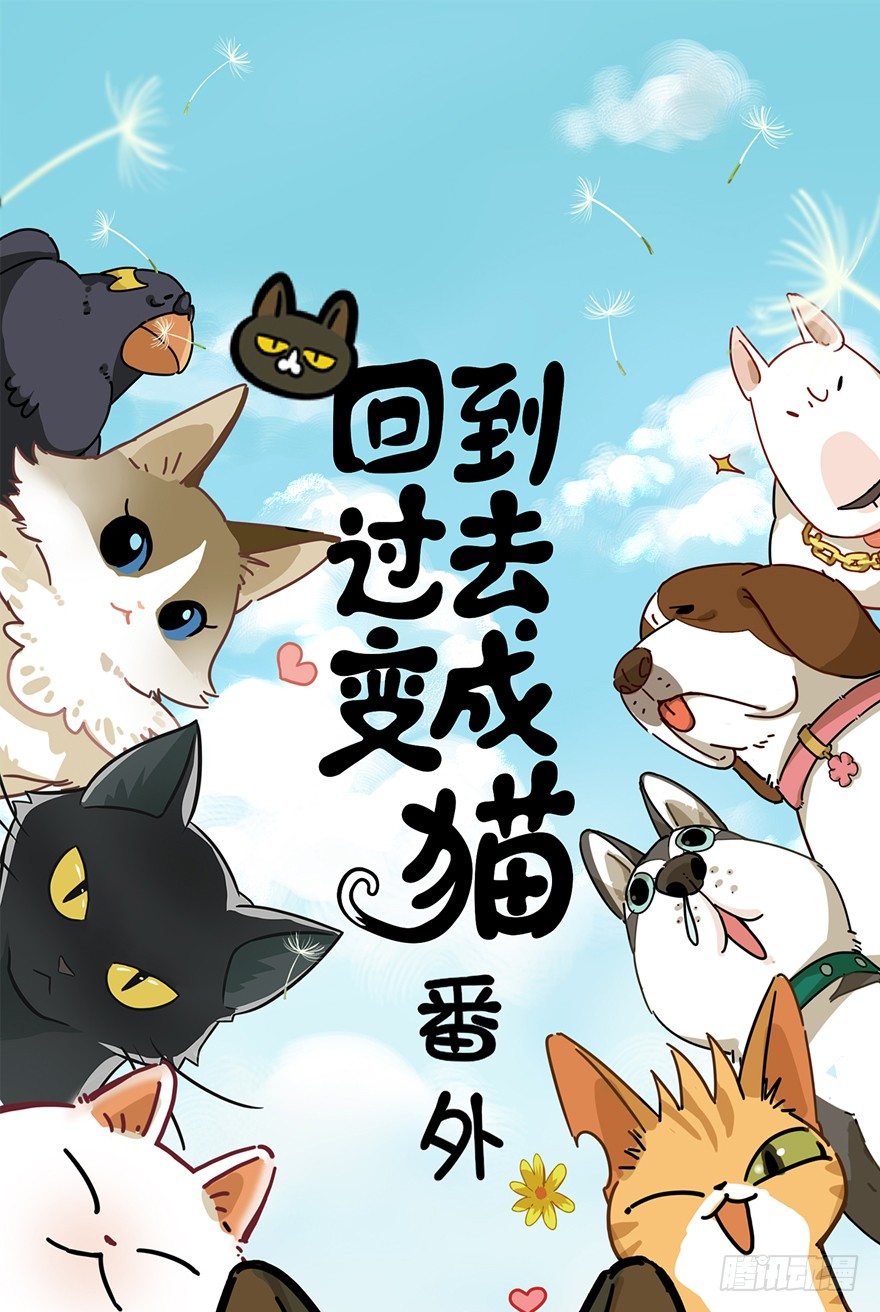 第85爪 黑呦呦出马（下）-第91话