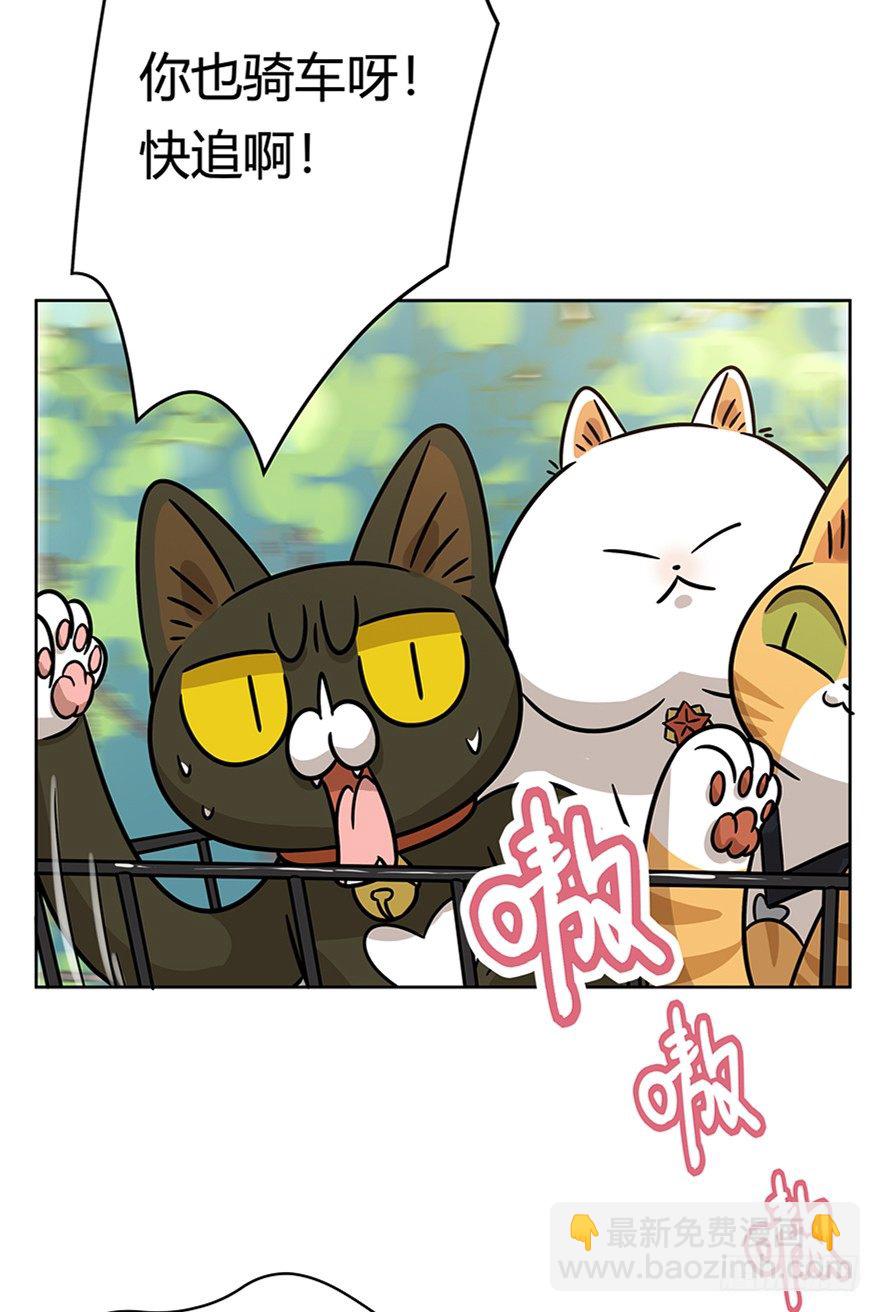 第85爪 黑呦呦出马（下）-第91话