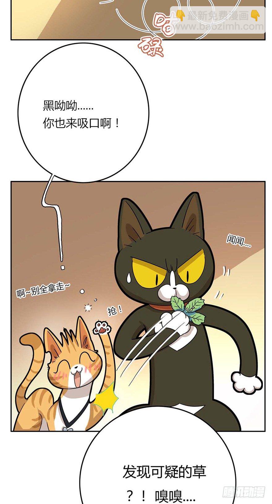 第87爪 讲义气的&ldquo;冒牌货&rdquo;（下-第93话