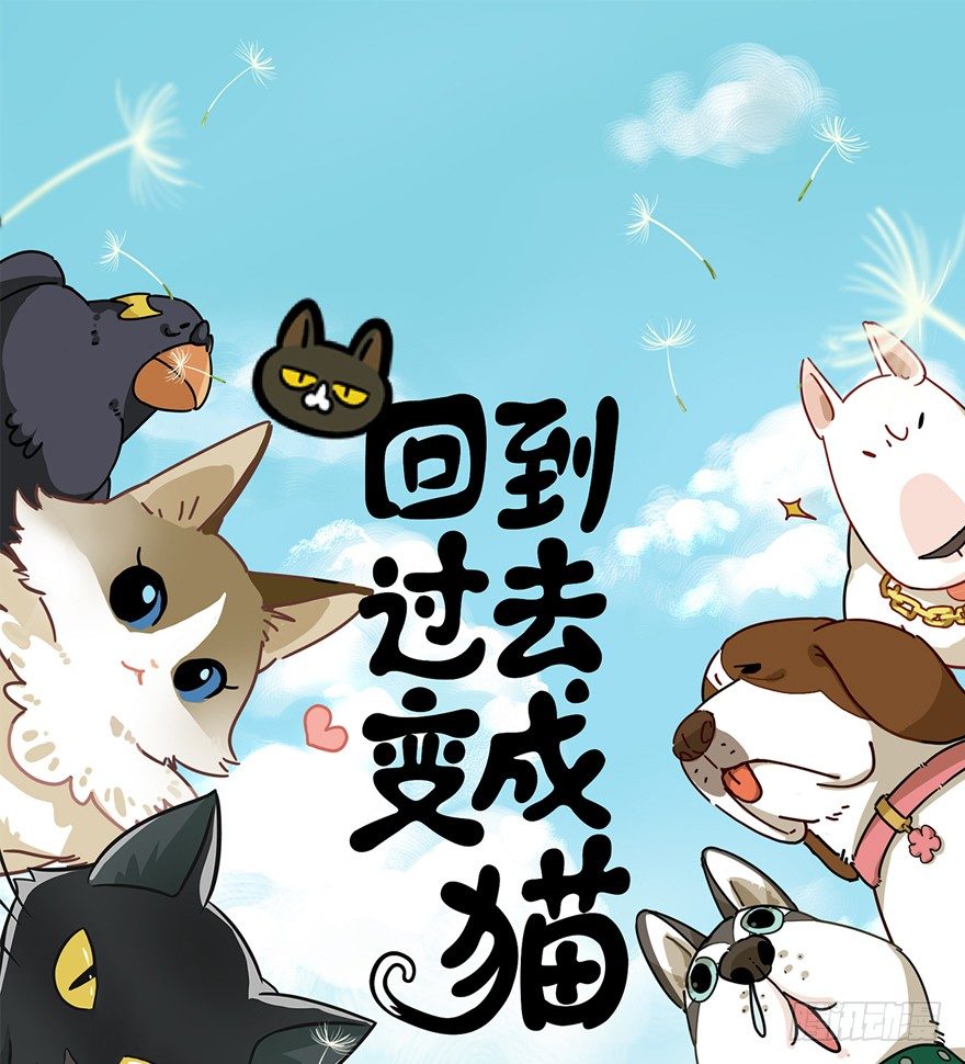 第91爪 翻脸不认猫（下）-第97话