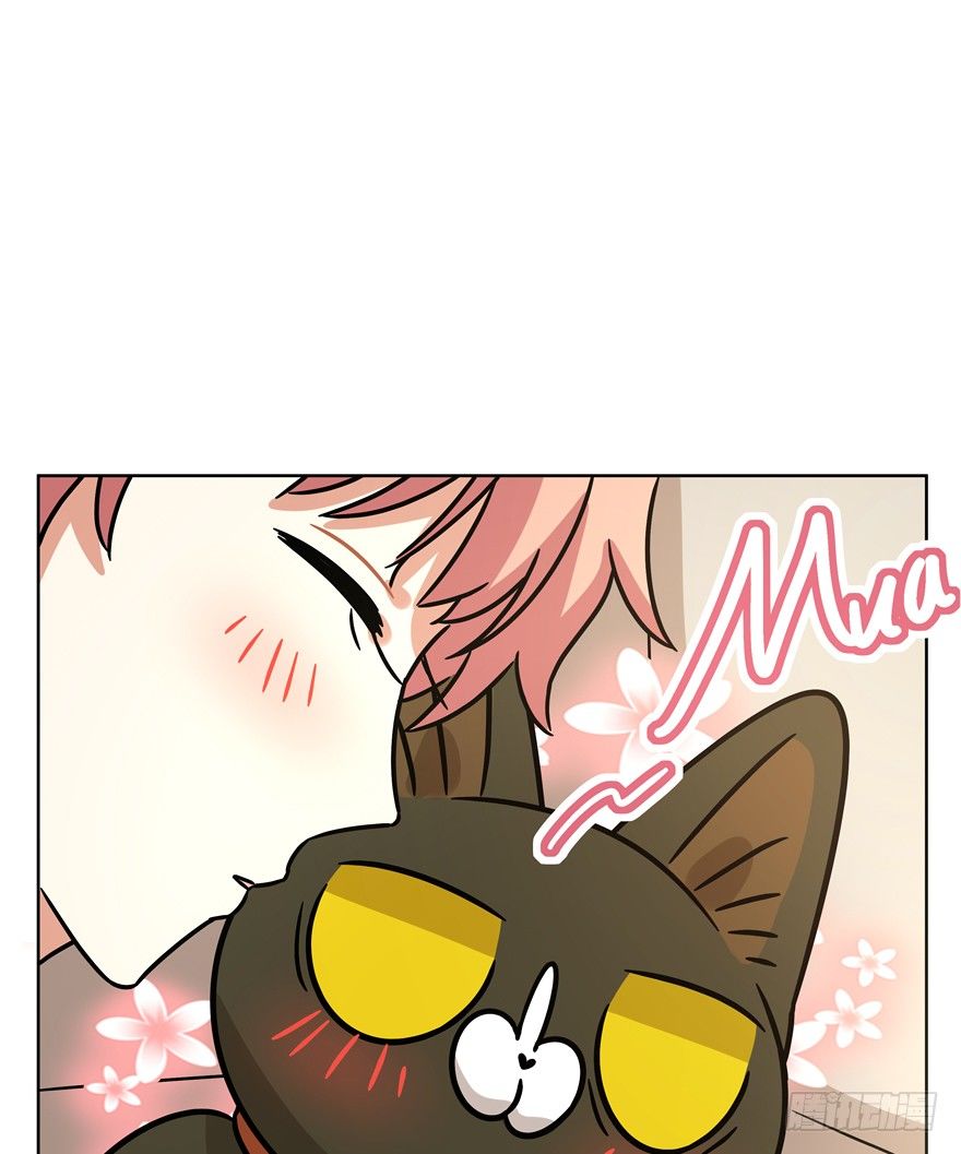 第91爪 翻脸不认猫（下）-第97话