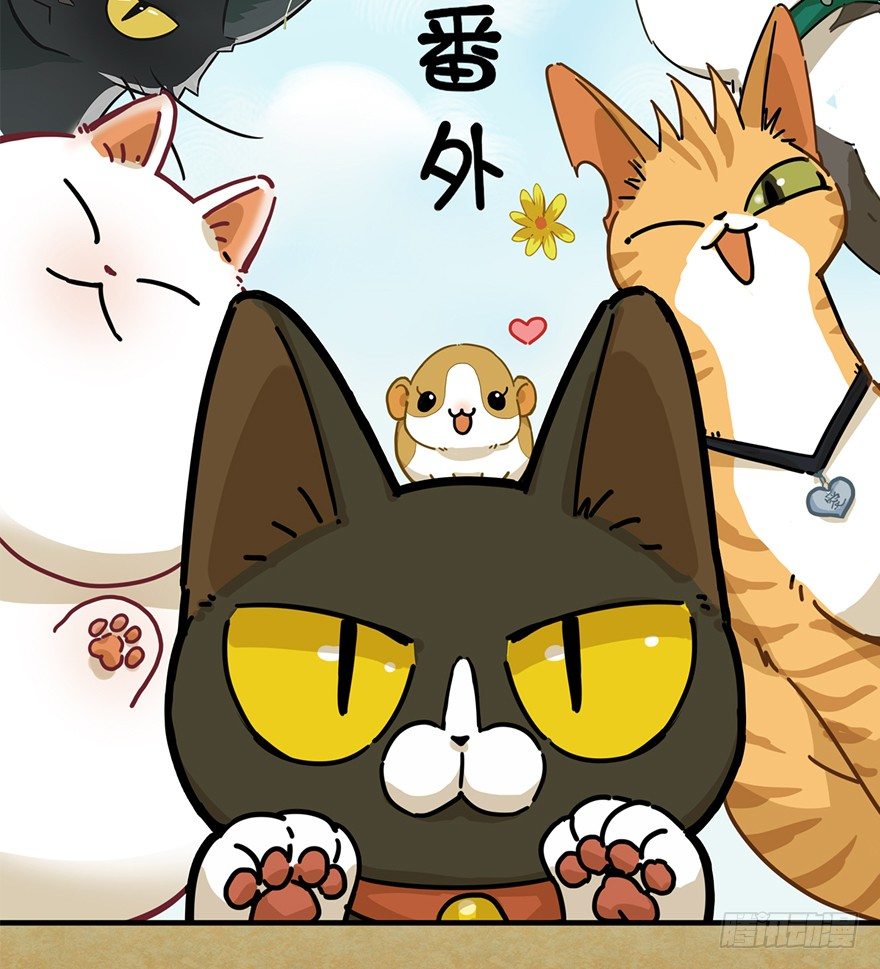 第91爪 翻脸不认猫（下）-第97话