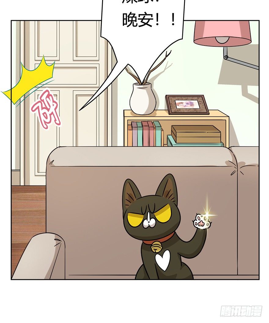 第91爪 翻脸不认猫（下）-第97话