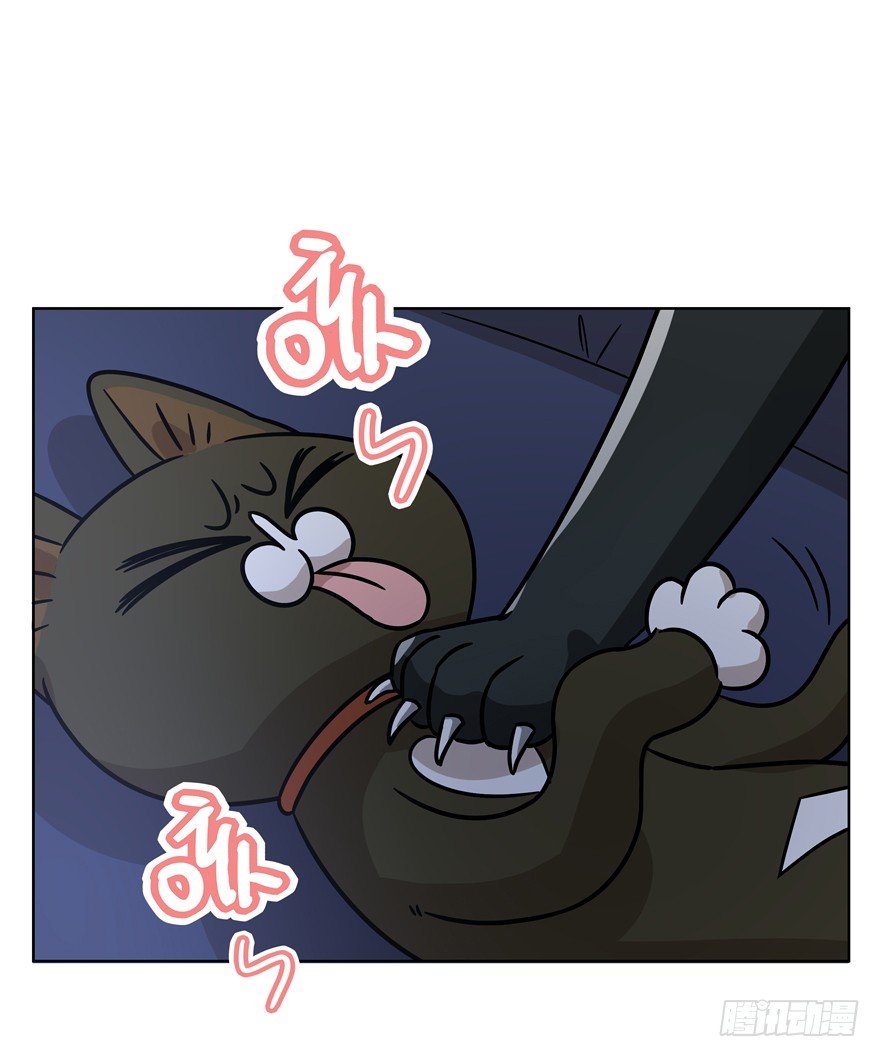 第91爪 翻脸不认猫（下）-第97话
