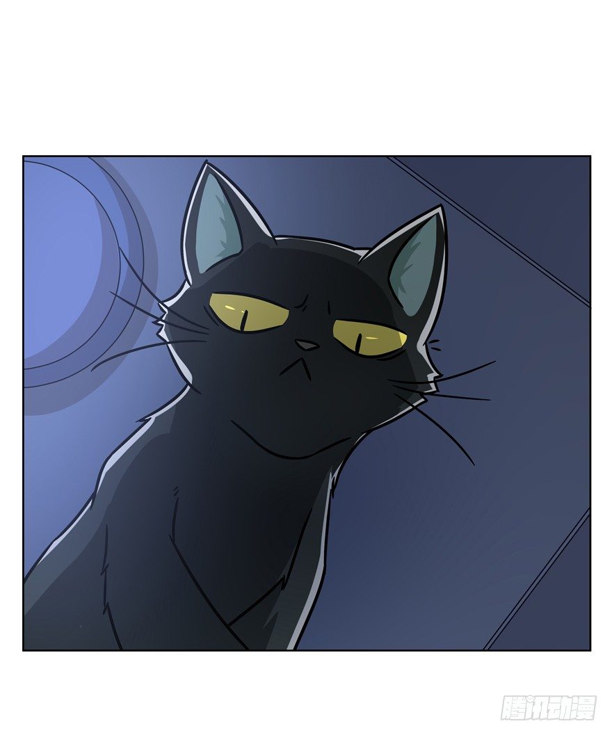 第91爪 翻脸不认猫（下）-第97话