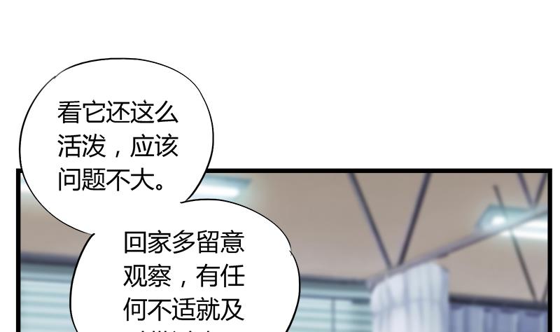 第75话 猫少女(1/2)-第75话