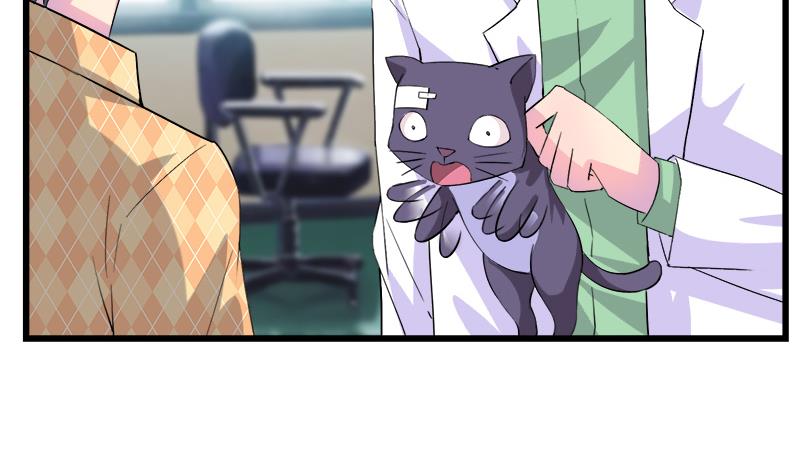 第75话 猫少女(1/2)-第75话