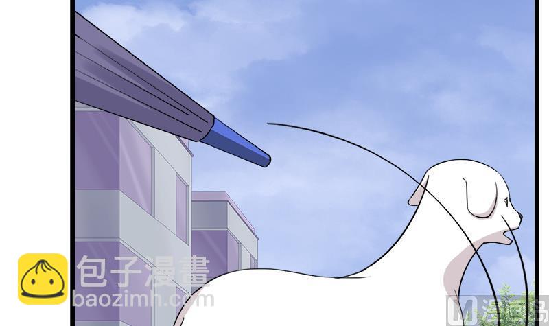 第75话 猫少女(1/2)-第75话