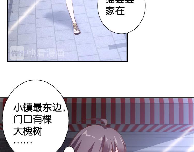 第31话：猫雀之争&mdash;&mdash;寻猫婆婆(1/2)-第31话