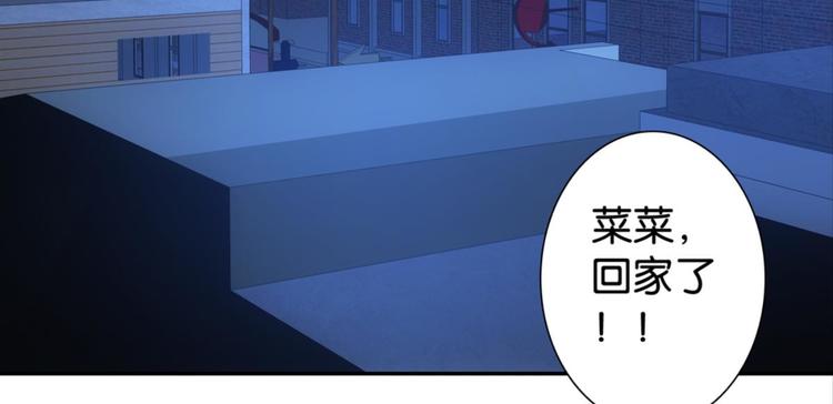 第31话：猫雀之争&mdash;&mdash;寻猫婆婆(1/2)-第31话