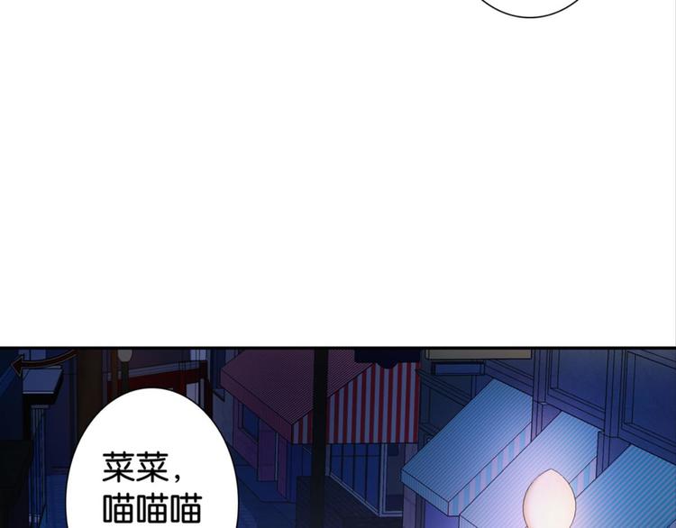 第31话：猫雀之争&mdash;&mdash;寻猫婆婆(1/2)-第31话