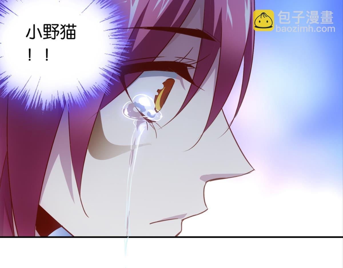 第37话：猫雀之争-第37话
