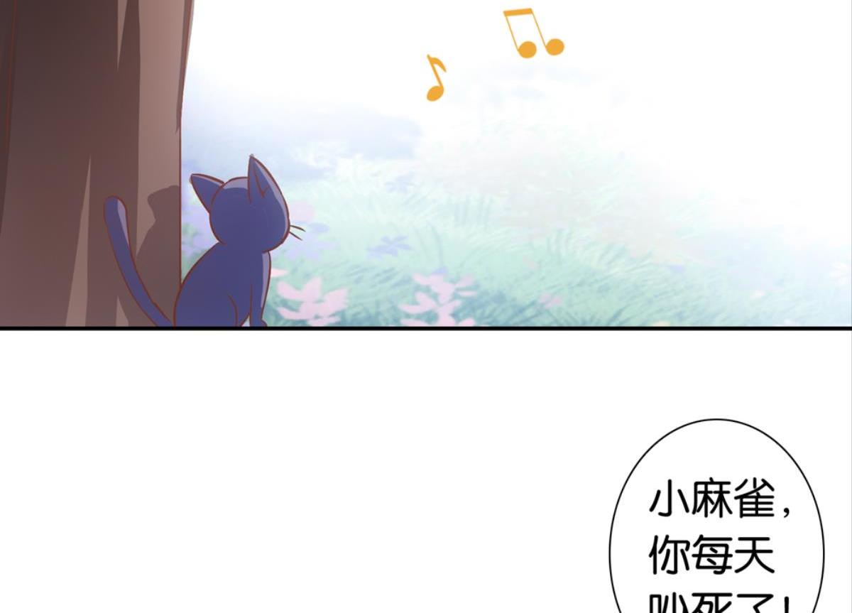 第37话：猫雀之争-第37话