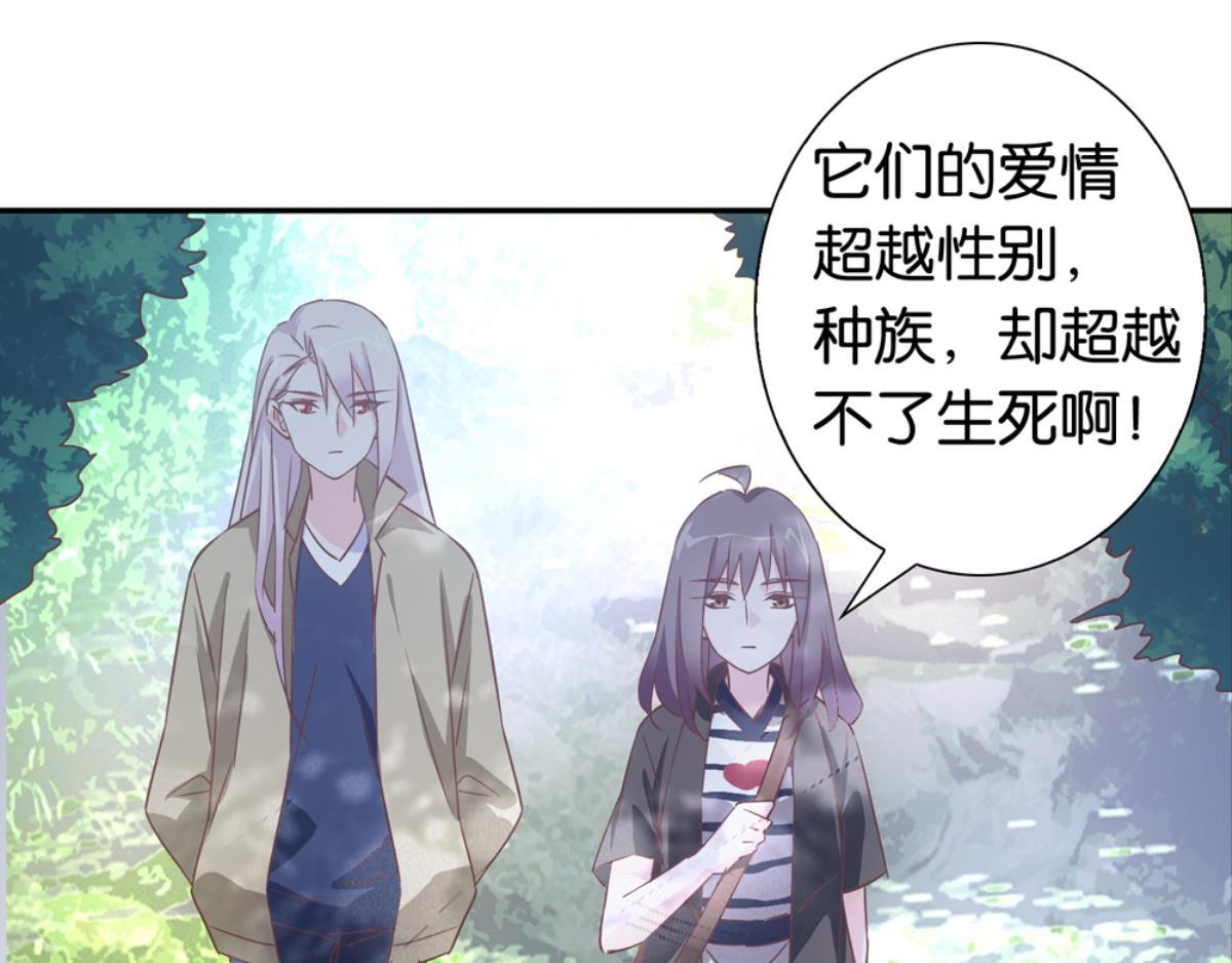 第37话：猫雀之争-第37话